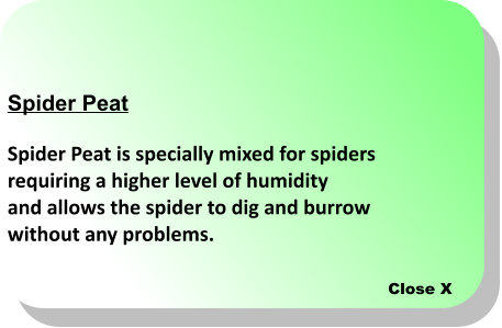 Close X Spider Peat  Spider Peat is specially mixed for spiders requiring a higher level of humidity  and allows the spider to dig and burrow  without any problems.