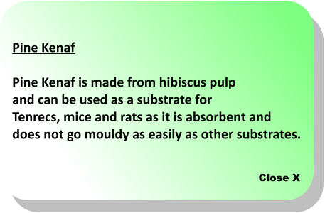 Close X Pine Kenaf  Pine Kenaf is made from hibiscus pulp  and can be used as a substrate for  Tenrecs, mice and rats as it is absorbent and  does not go mouldy as easily as other substrates.