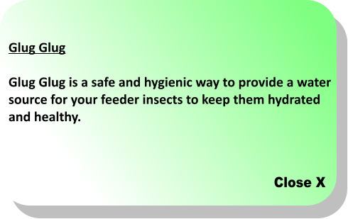 Close X Glug Glug  Glug Glug is a safe and hygienic way to provide a water  source for your feeder insects to keep them hydrated  and healthy.