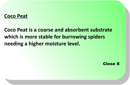 Close X Coco Peat  Coco Peat is a coarse and absorbent substrate  which is more stable for burrowing spiders needing a higher moisture level.